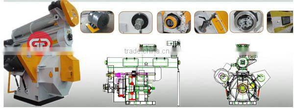 hot selling Factory supply wood sawdust pelletizer price
