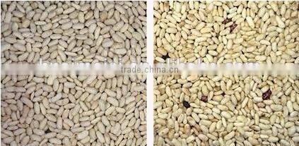 Belt Model Mung Bean Color Sorter Machine with Nikon Lens 0086 371 65866393