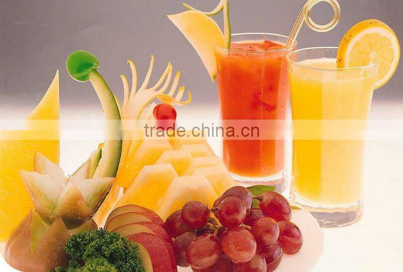 Electric fruit Juicer with mixer FB-818B (0086-13580546328)