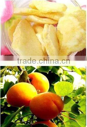 New design microwave vacuum dryer for peach slice