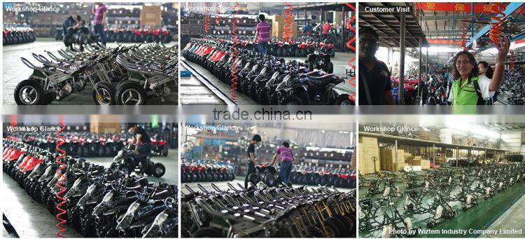 Adult Foldable Electric Scooter Brushless 350w