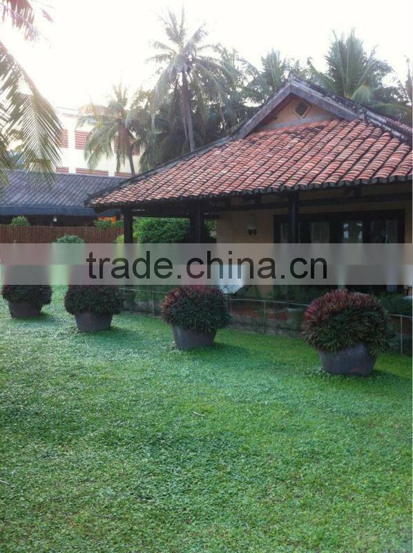 Terracotta flower pot