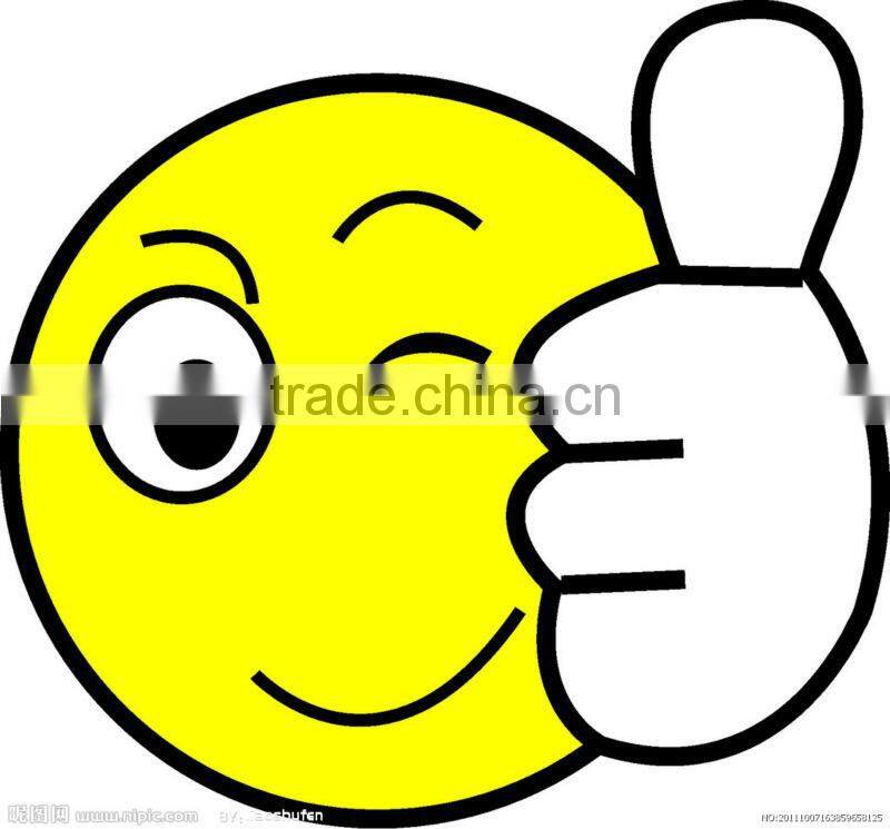 plastic led flashlight torch light