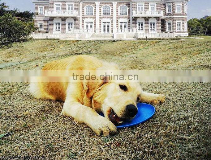 9 inch wholesale professional plastic dog custom pet frisbee