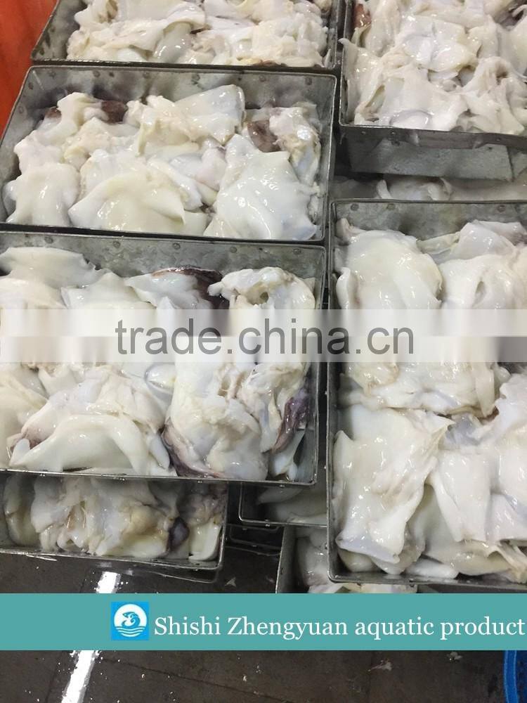 Frozen Giant Peru fillet squid neck Size 500+ on sale