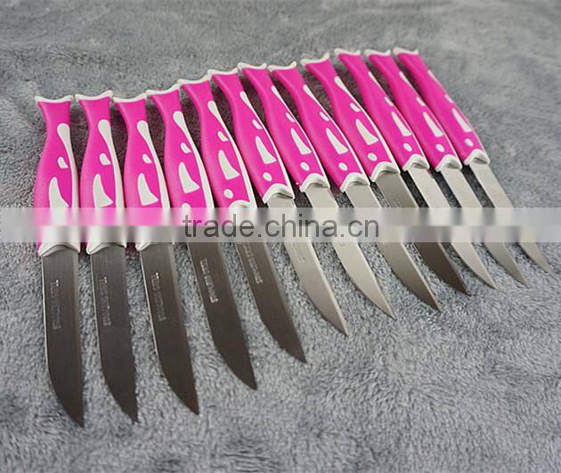 51010 12PCS STAINLESS STEEL fruit Knife Set