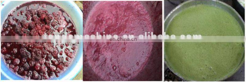 High quality commercial small scale fruit juice processing equipment/ fruit mango juice machine