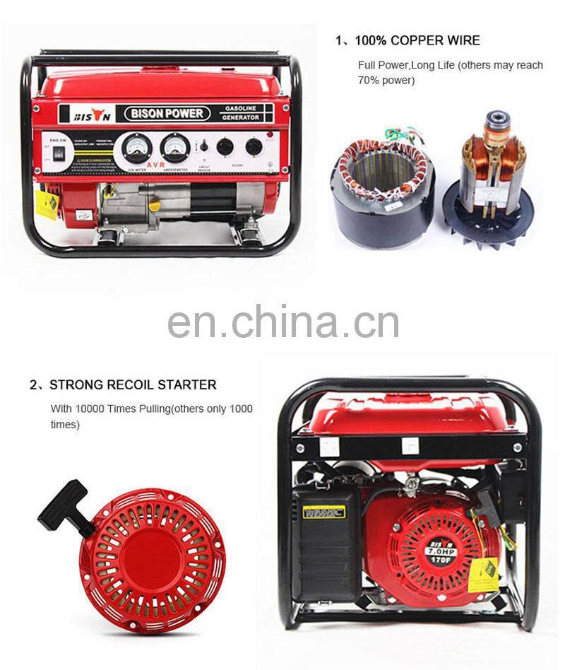 BS3500IQ BISON China Taizhou Generador Electrico Gas Portatiles Bison Power Emergency Generator Gasoline a Natural Gas