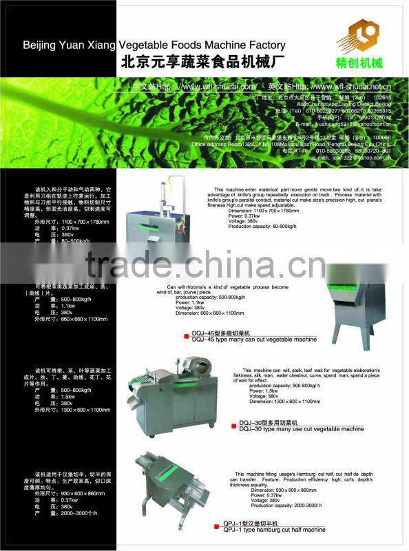 Vegetable Soaking Machine/Vegetabel Washer