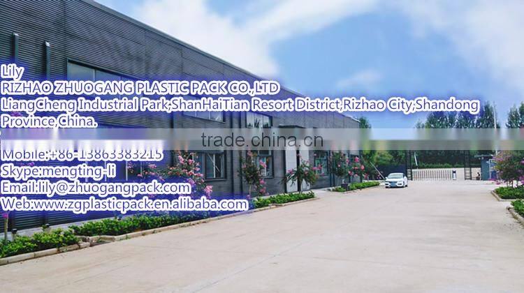 customize cheap strong raschel mesh bag with custom log