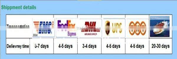 belt clip case for ipad