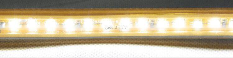 VT 220V AC LED Strip Light 100M golden yellow SMD 5630 60LED/M Waterproof IP68LED Stripe 100M/Roll High Quality customization
