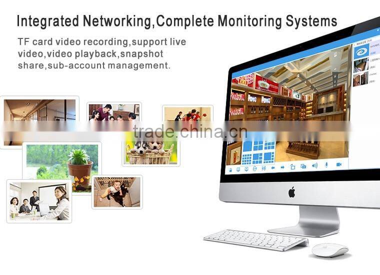 Hot Sale Mini CCTV HDD Digital IP Camera ip66 camera