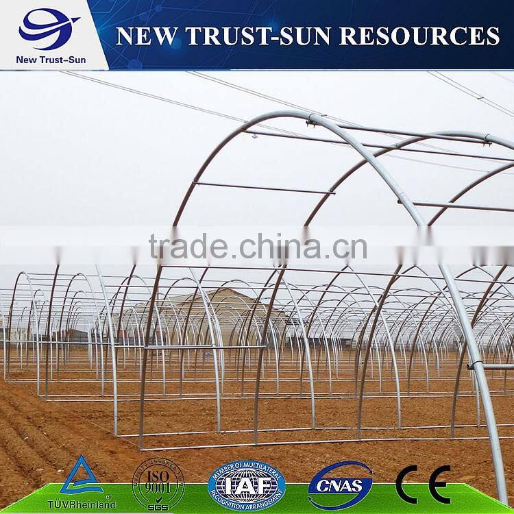 Low cost muti-span PVC/PE/Plastic greenhouse for flower/vegetable growing