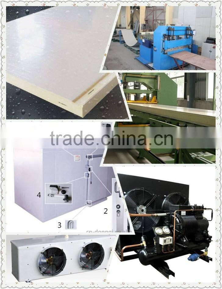 Cold Store for Fruit and Vegetable Design