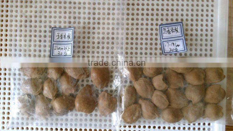 Supply with Chinese Bulk Spicy flavored Roasted Apricot Kernels in Shell