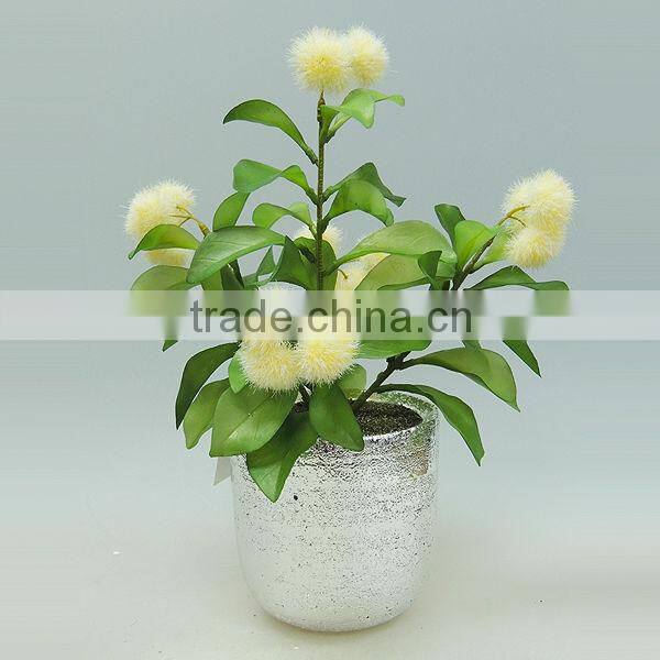 High quality cement potted plant for home decorating