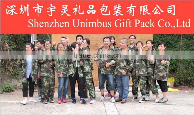 2014 new fashion colorful backpack for 13',15',17' mac book, ipad, iphone, backpack bag