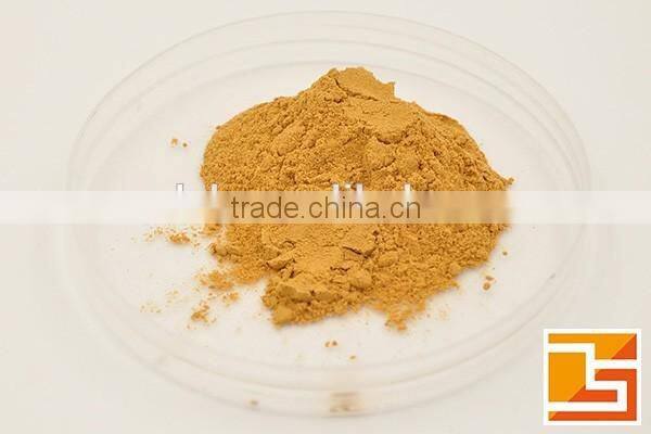 Anti-aging Elderberry powder for protecting flu infections