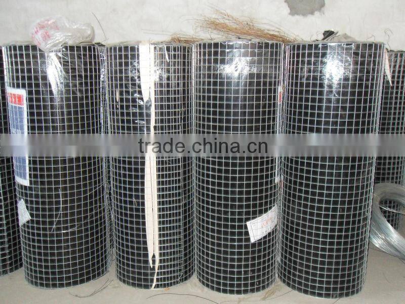 pvc coated welded wire mesh in roll