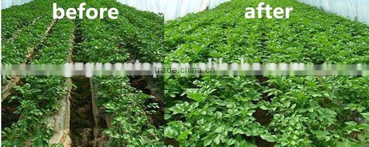 Amino acid npk fertilizer 12-1-1%