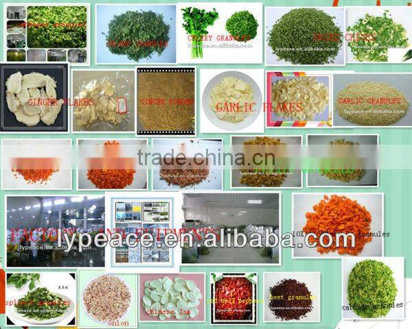 5x5mm aloe vera cubes