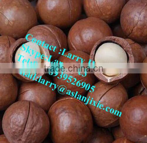 macadamia nut opening machine/macadamia nut tapping machine