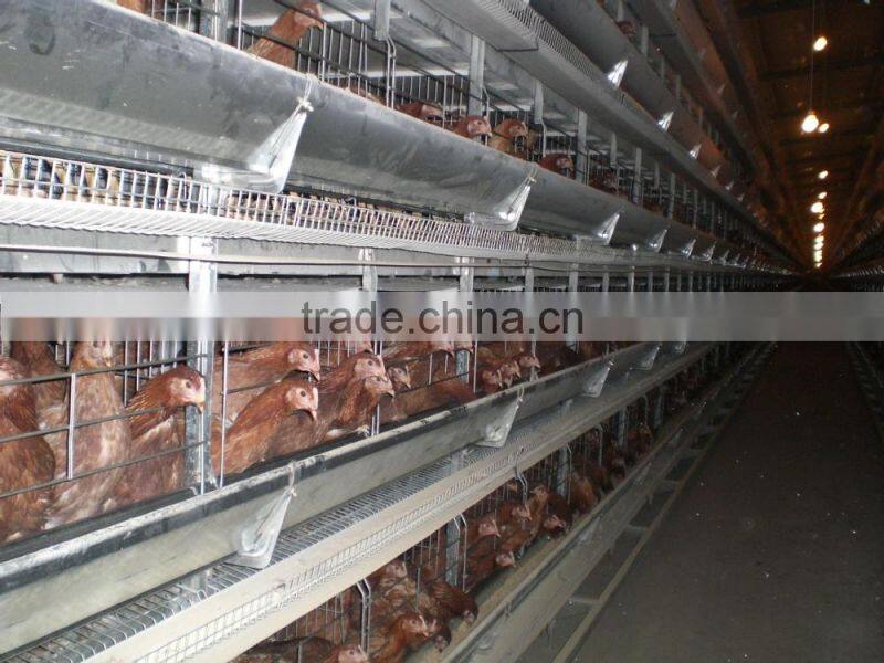chicken cage for poultry farm for nigeria with best price