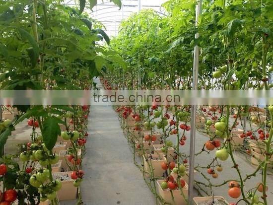 Greenhouse dutch bucket For Drip Irrigation System