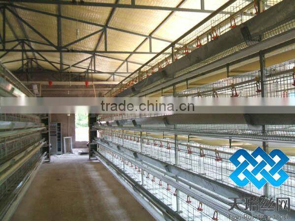 poultry cages TUV certicification hot dipped galvanized 20 years lifetime layer chicken cages with Auto water system