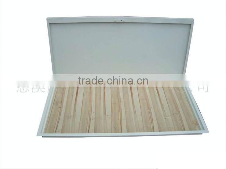 Scuttle Window Panel Ceiling