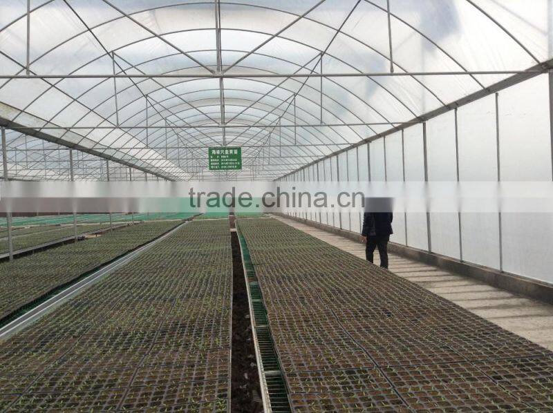 Arch pipes poly multi-span greenhouse for vegetables