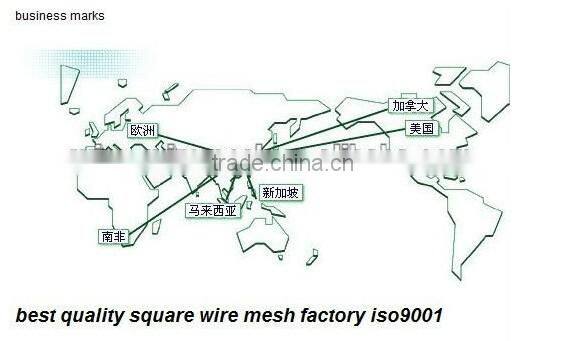 PVC Coating square Wire Mesh/green pvc coating wire mesh/wire mesh in roll skype id