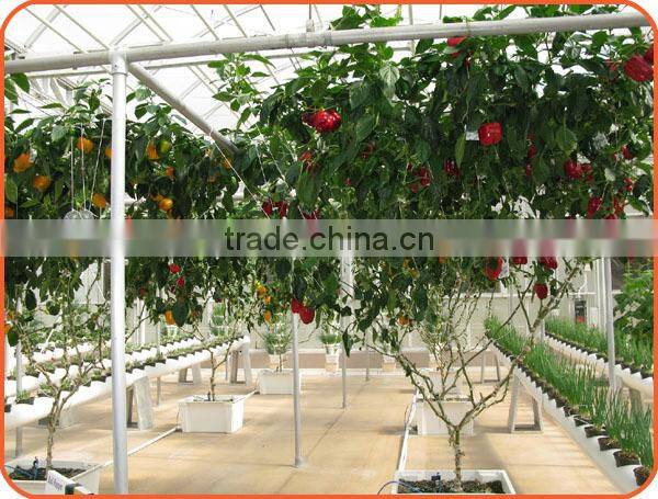 market gardening post system