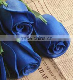 GNW FLW1508-10 Artificial Plastic Blue Rose Flower Type Wall used in wedding background wall