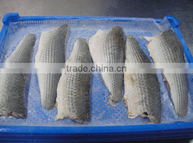 land frozen grey mullet fillet ,skin-on,boneless IQF processing