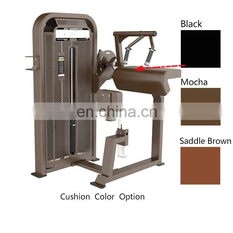 Indoor Gym Equipments Exercises Gym Bicep Triceps Machine