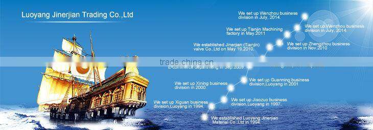 Ansi Flanged Foot Valve Water Y Strainer