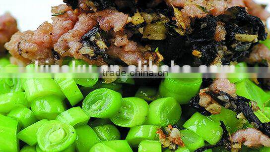 The chinasales protable l home Electric Blender&practical and valuable Mixer