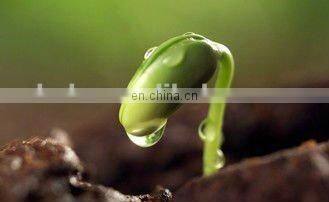 Bean Sprout Growing Machine | Bean Sprout Machine | Mungbean Sprout Machine