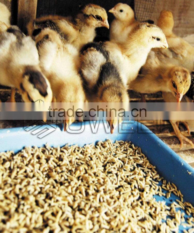 hot exporting cattle feed pellet mills