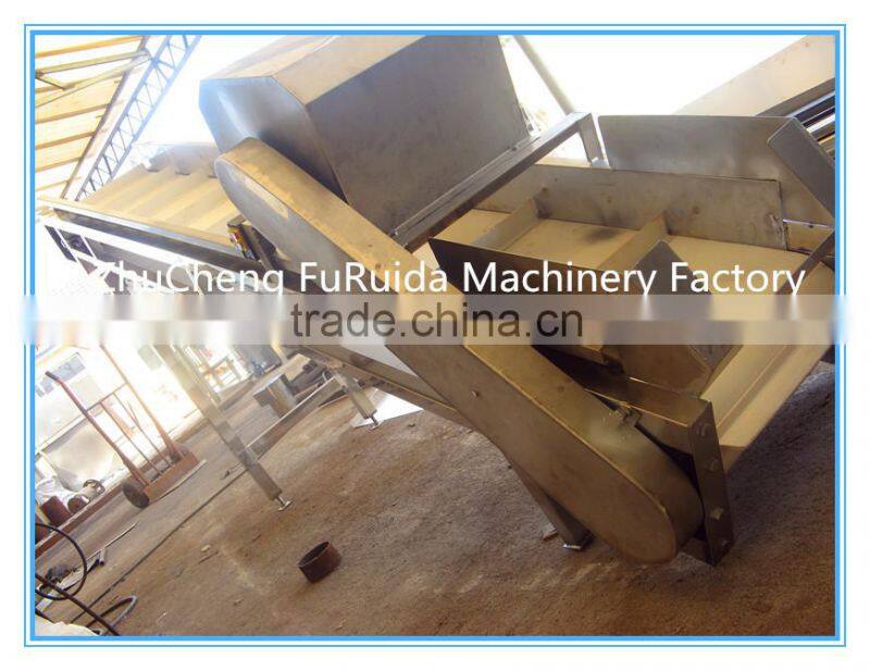poultry conveyor/chicken farm