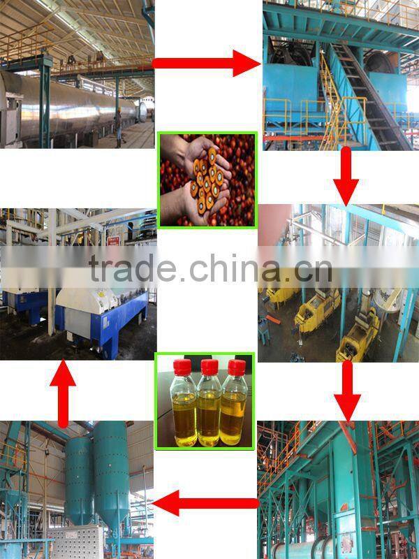 Best selling palm oil pressing machine, palm oil processing equipment