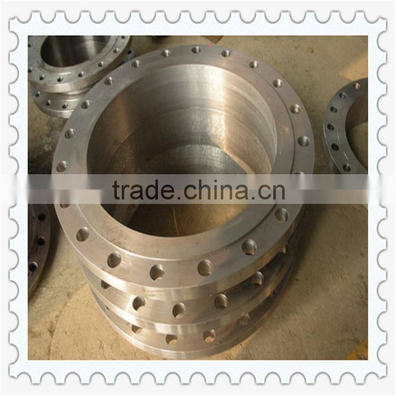 flange/Steel Flanges manufacturer