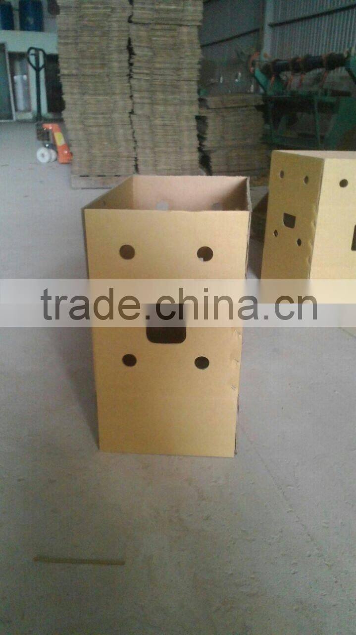 VIETNAM FRESH CAVENDISH BANANA