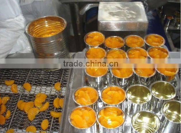 Canned Mandarin Orange Fresh Juicy