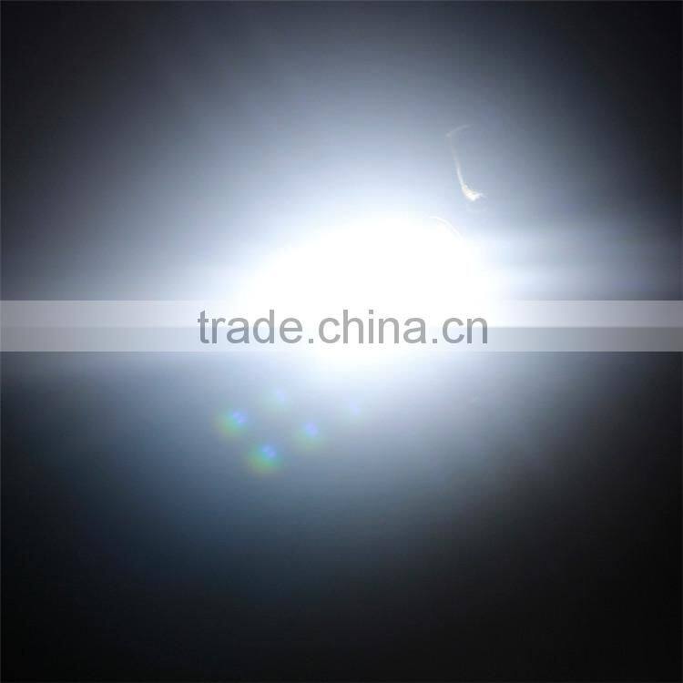 Wholesale 12V Festoon Car LED C5W Bulbs Auto Dome Lights Interior Lamp Canbus 3030 6 SMD Car Accessories
