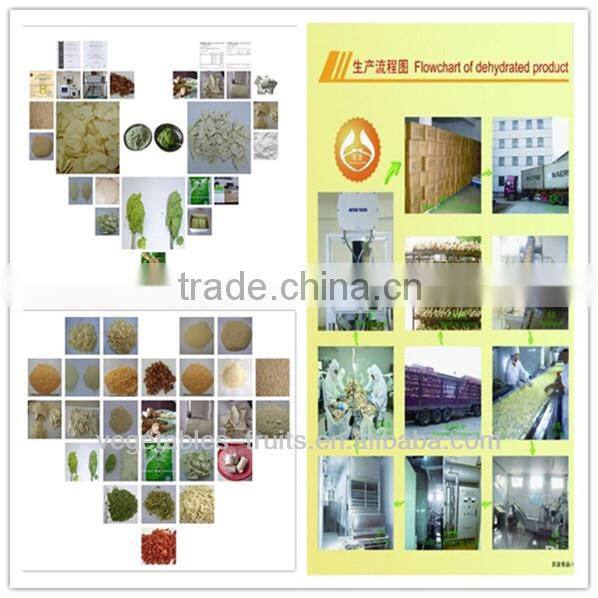 garlic oil concentrate ISO,HACCP,QS,KOSHER,HALAL,FDA