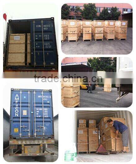 2014 Durable new type fashion model portable food mixer for sale (TL-7L)