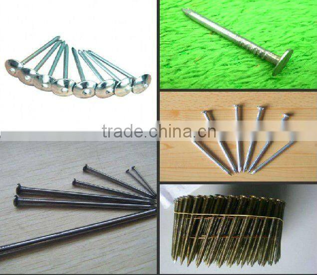 bright common iron nail with flat head